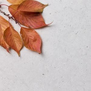 AMALFI TUMBLED TRAVERTINE 800x400x18MM ($/UNIT)